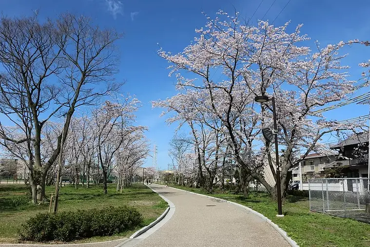 櫻之森公園