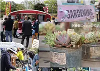 La Marcha de los Olivos de Granja Nagashima