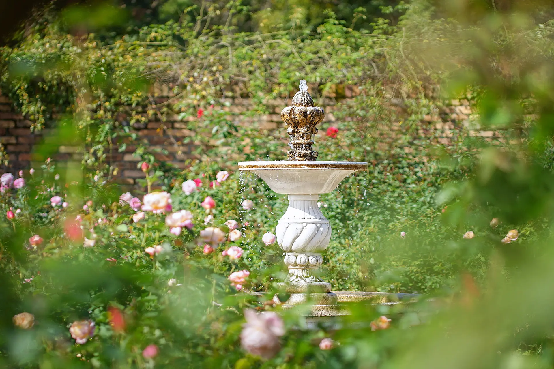 ローズガーデン