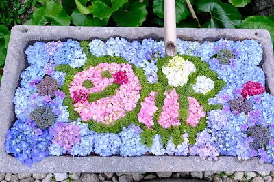 かざはやの里の花手水（2）
