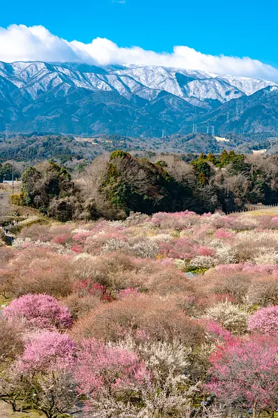 いなべ市農業公園（30）