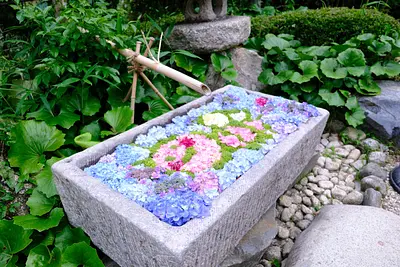 かざはやの里の花手水（1）