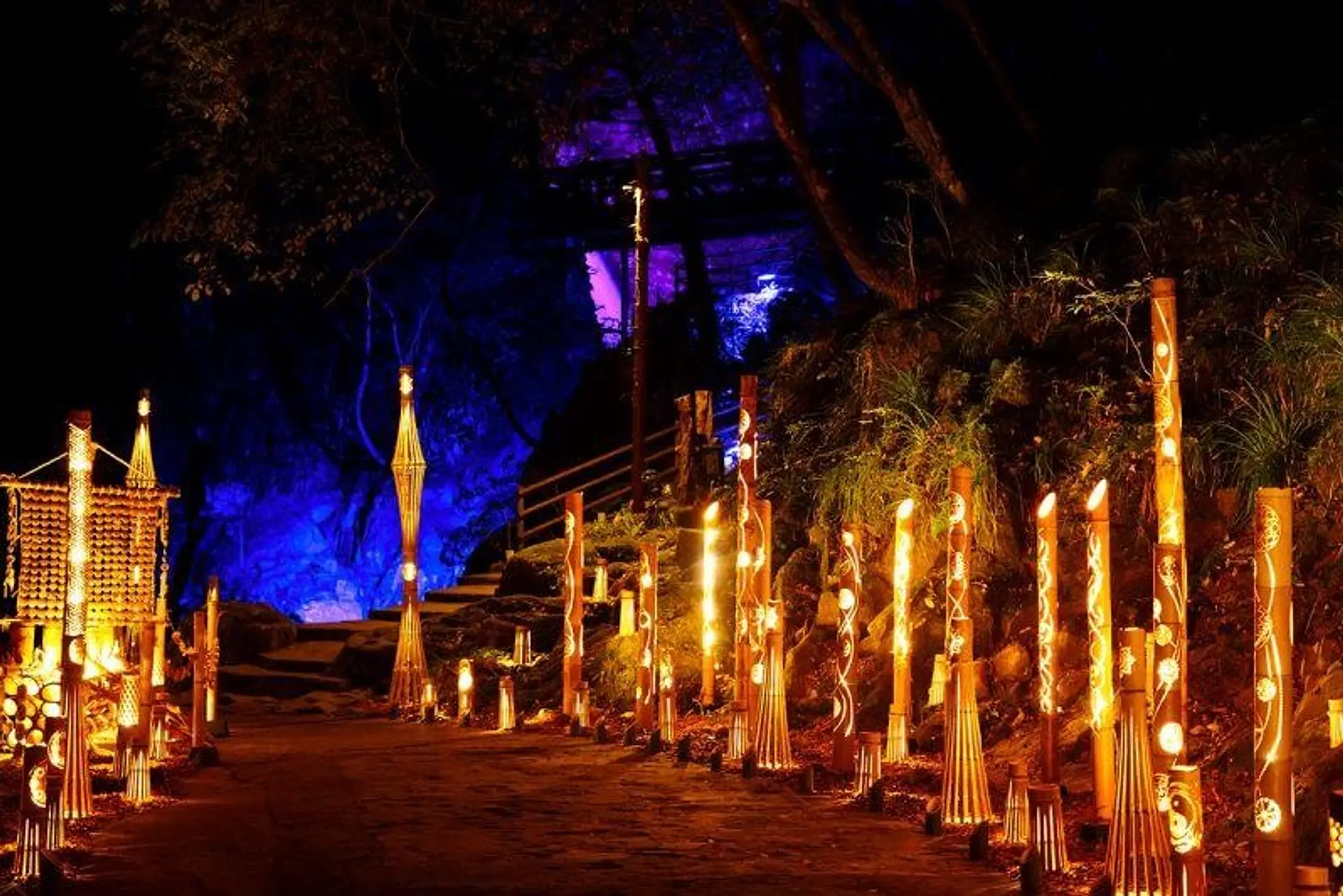 竹灯の渓谷ライトアップ