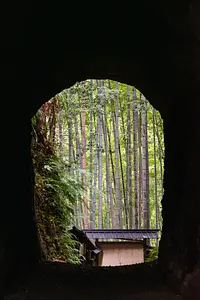 足にやさしい見学ツアー～熊野古道の石畳＋土井竹林手掘りトンネル～〈おわせよいとこ見つけ旅2026〉
