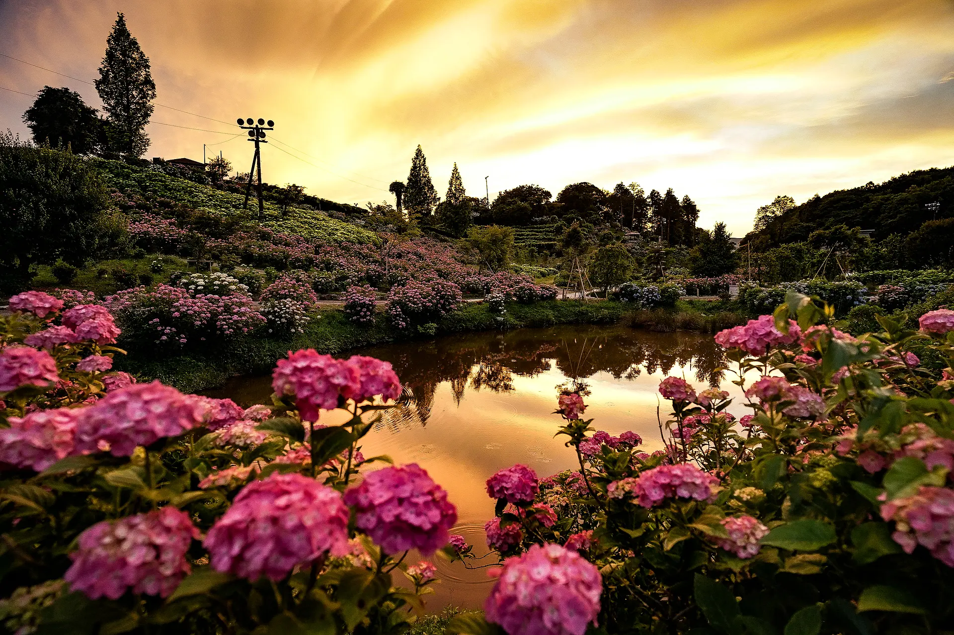 かざはやの里 夕焼け