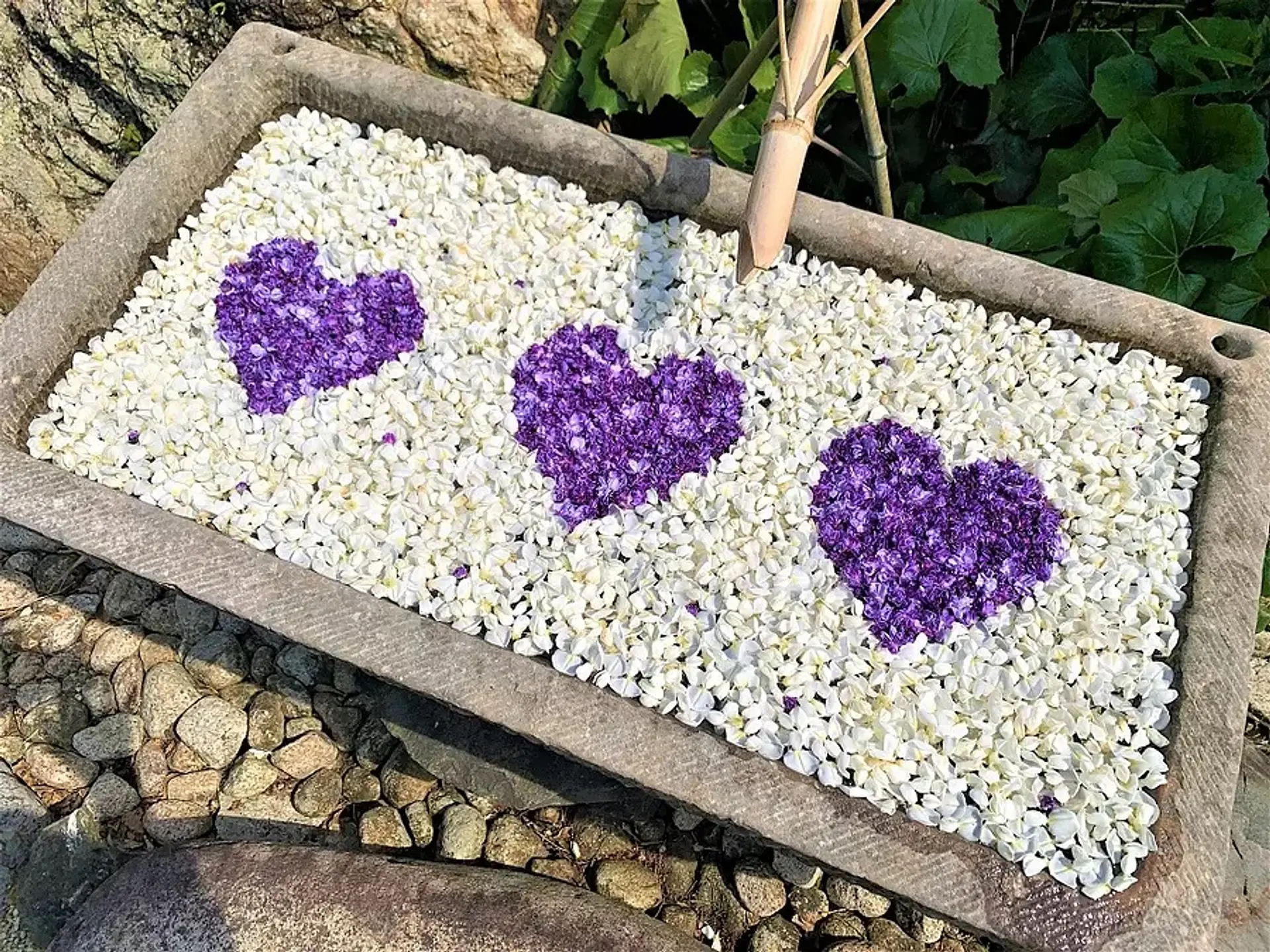 三重県の花手水観賞スポット