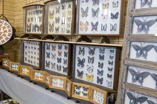 Insectos de papel realistas.