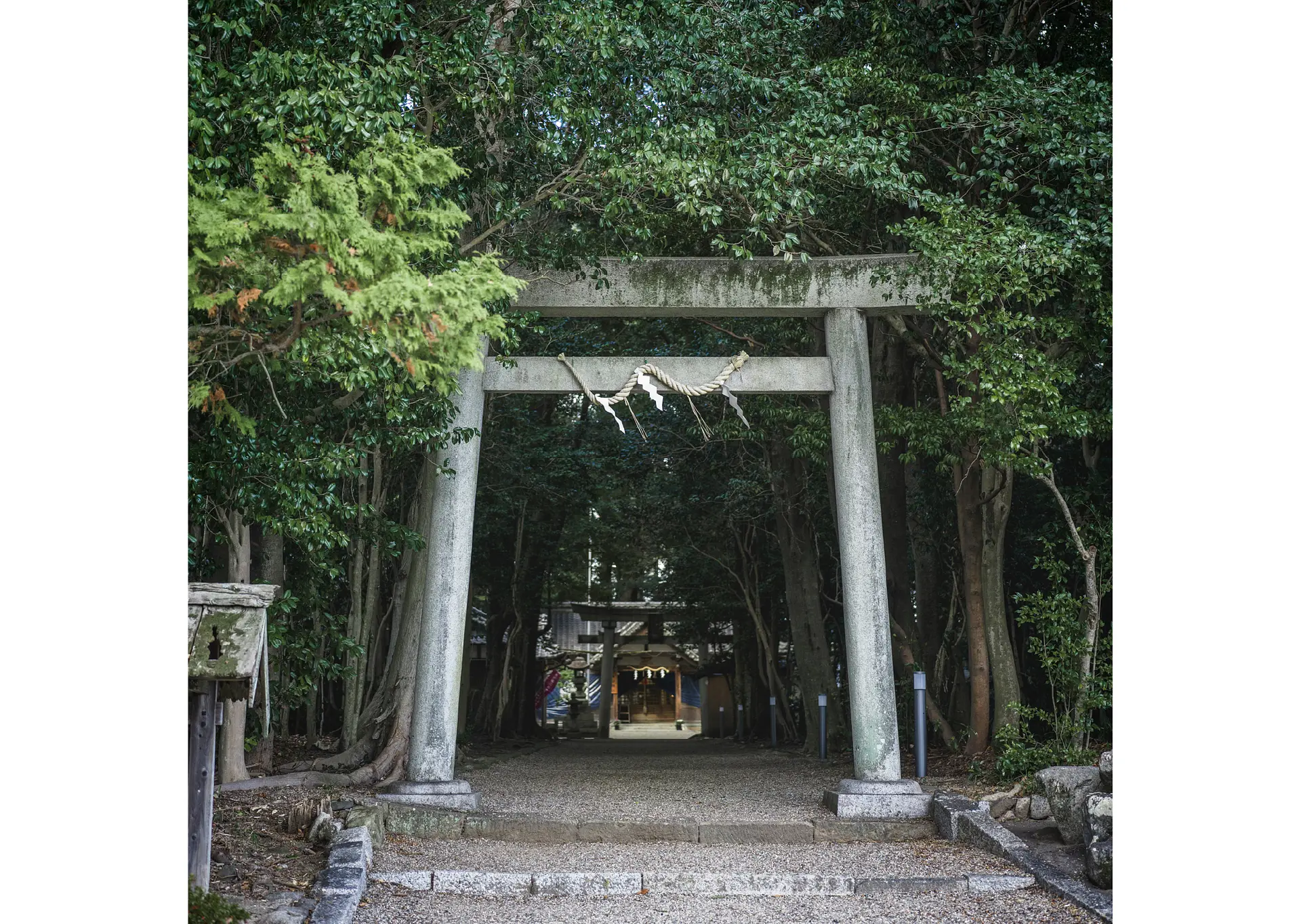 ヤマトタケル オトタチバナヒメ