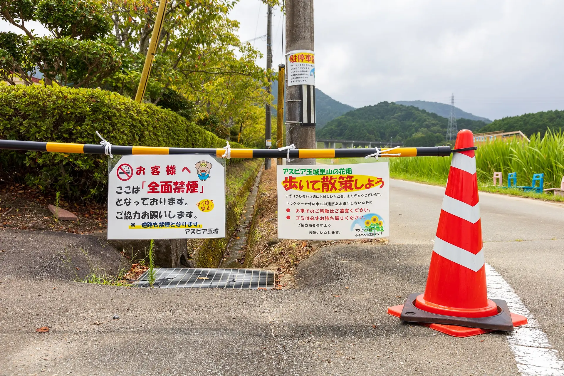 歩いて散策しよう