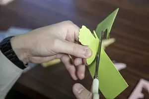 การทำแมลงตัดกระดาษ