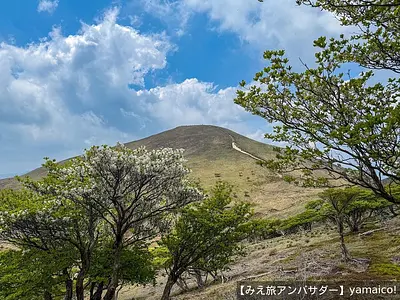 全国一！！？「白いヒツジ」の大群で有名！初夏の登山にもオススメな竜ヶ岳登山をレポートします！
