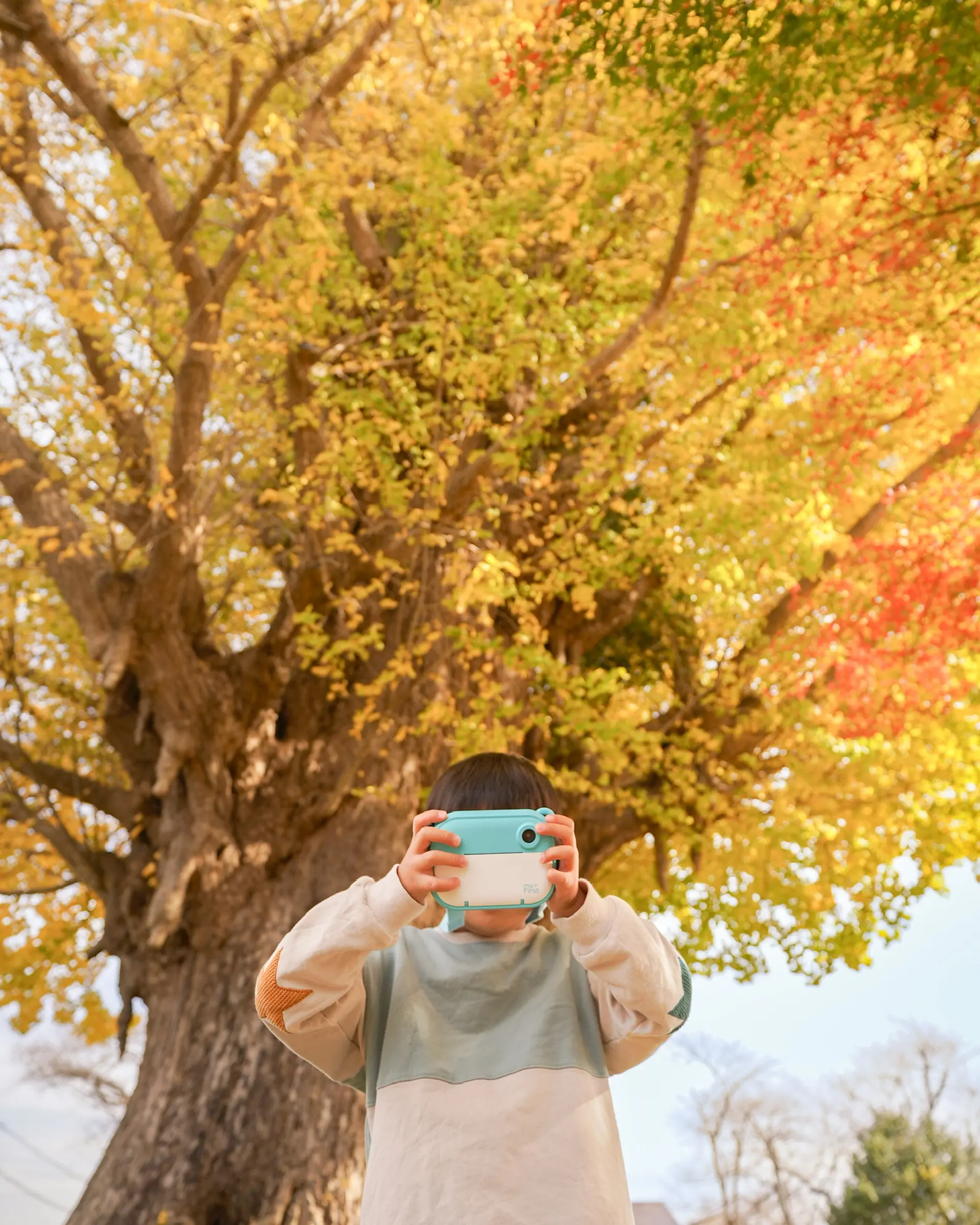 宗英寺のイチョウ