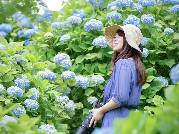 chii (Sakai Chisato)の画像