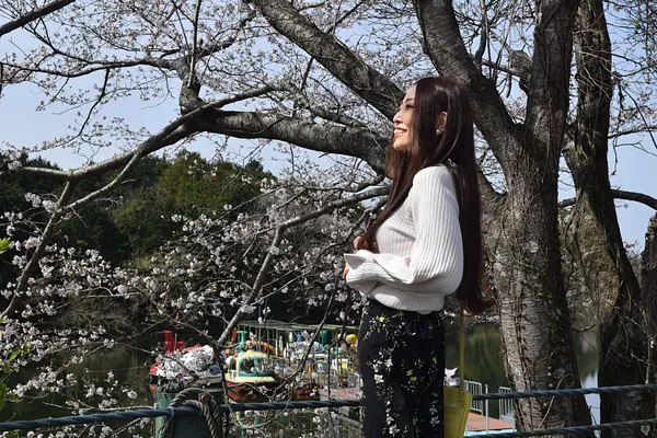 キャスターマミの画像