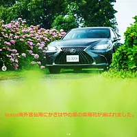 Lexus海外宣伝用の撮影場所に選ばれました。 (1)