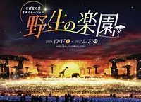 なばなの里イルミネーション