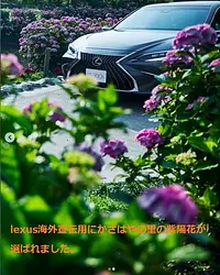 Lexus海外宣伝用の撮影場所に選ばれました。 (2)