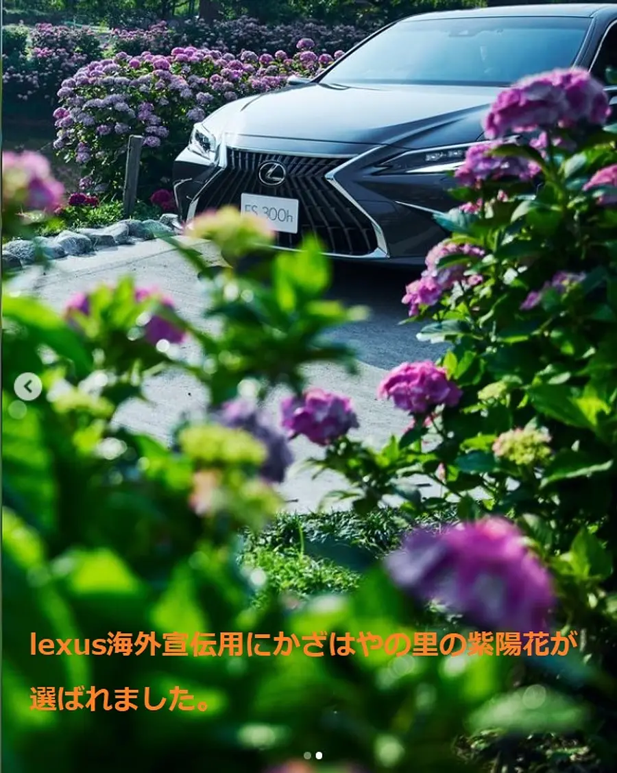 Lexus海外宣伝用の撮影場所に選ばれました。 (2)