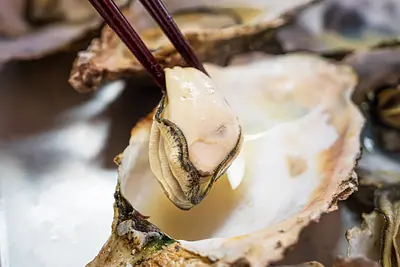 三重県の冬の味覚”牡蠣料理”三重に来たら旬の浦村牡蠣や的矢牡蠣、渡利牡蠣を堪能して🥢