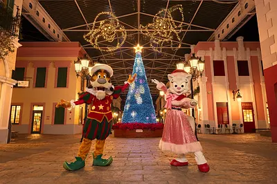 シベレス広場　イルミネーション