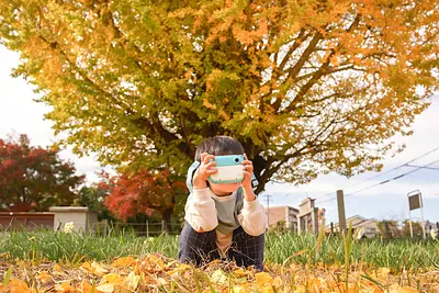 宗英寺のイチョウ
