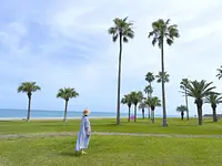 七里御浜ふれあいビーチ（風景）