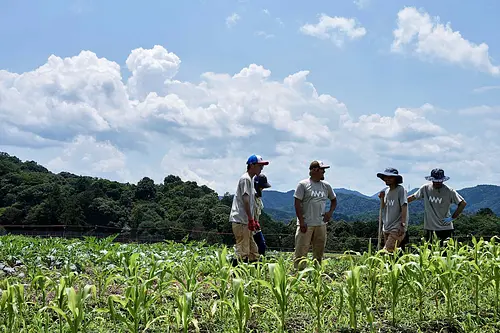 自給自足カレッジ