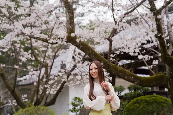 キャスターマミの画像