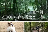 涼ヴィソン　-愛犬とワン歩道-