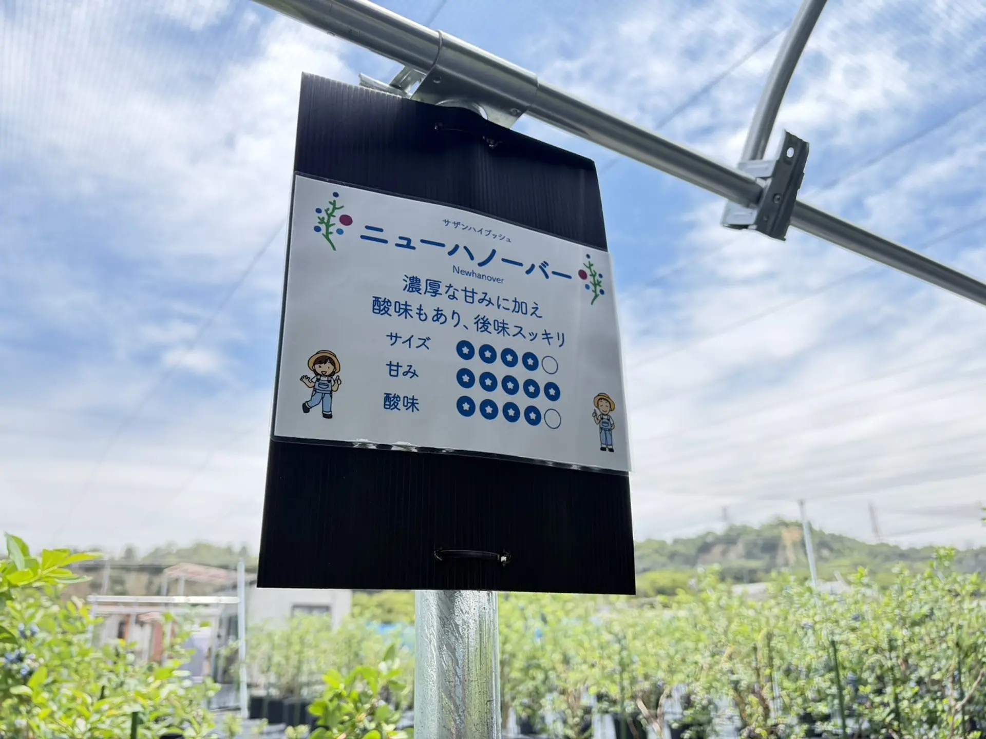それぞれの品種の特徴がひと目でわかる
