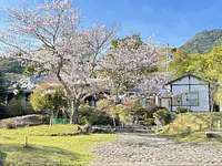 築100年の古民家でお花見！天満荘