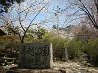 熊野古道で桜を楽しむ！馬越公園