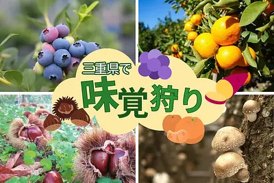 三重の味覚狩り・フルーツ狩り・収穫体験おススメスポット特集！ みかんやぶどう、新鮮な採れたてフルーツを味わおう！【2026年版】