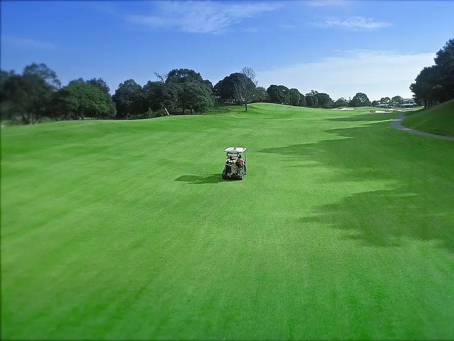NEMU GOLF CLUB