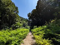 Kawachifudo Falls