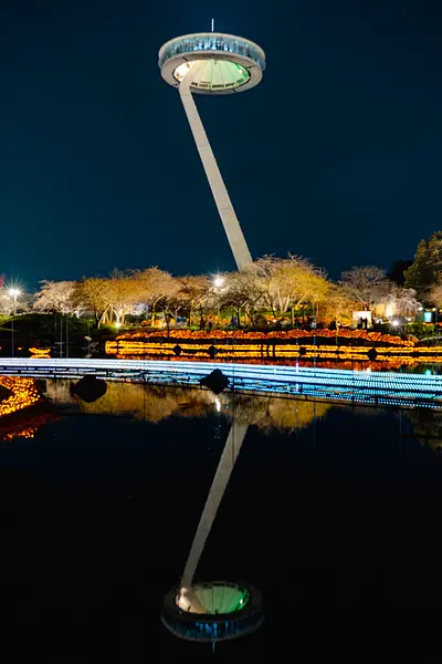 なばなの里イルミネーション（3）