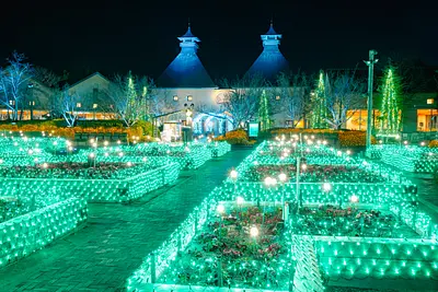 なばなの里イルミネーション（2）