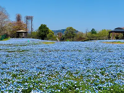 福祉と環境を融合した花園「かざはやの里」～かっぱのふるさと～