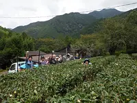 【大杉谷自然学校】大杉谷の田舎暮らし守り隊