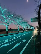 Illumination hivernale Komono