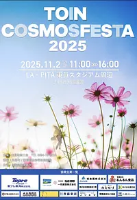 Toin Cosmos Festa チラシ