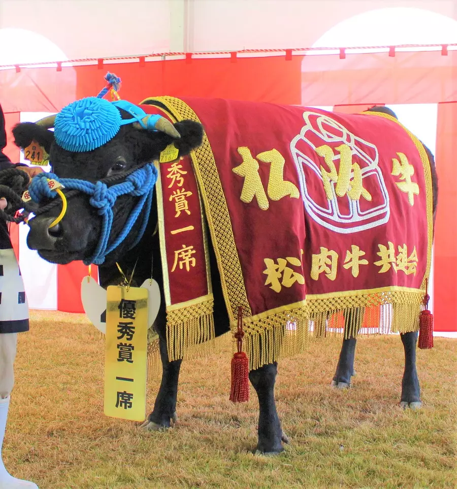 松阪肉牛共進会優秀賞１席