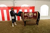 Festival du bœuf de Matsusaka (72e exposition de bœuf de Matsusaka)