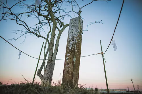 Ruines du sanctuaire Takesasao-ko