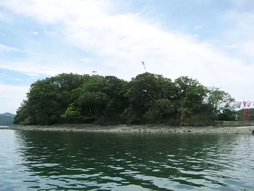 獅子島の樹叢①