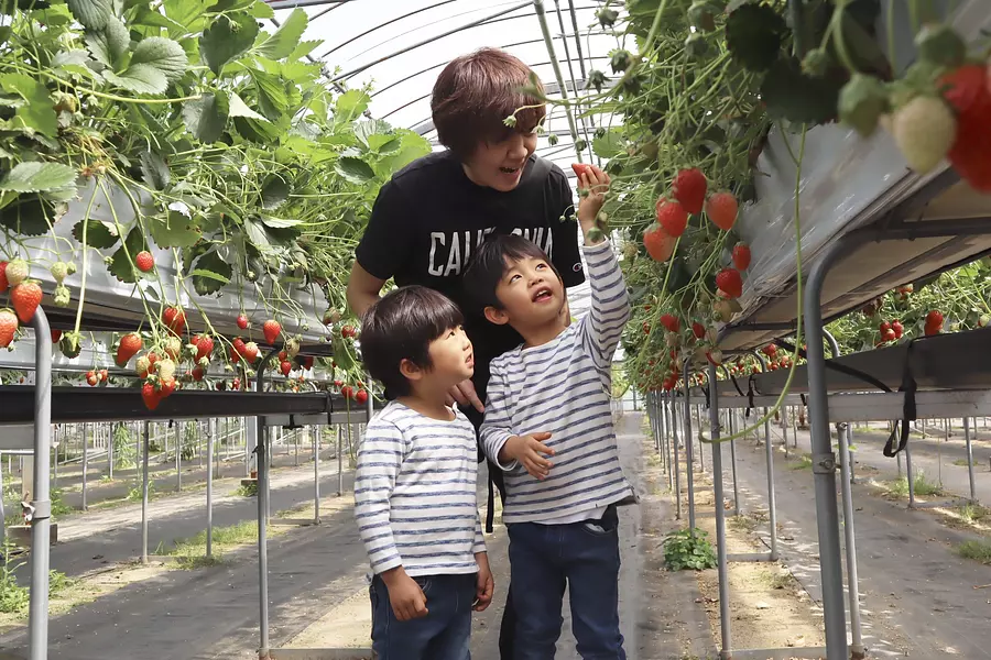 玉城ふれあい農園