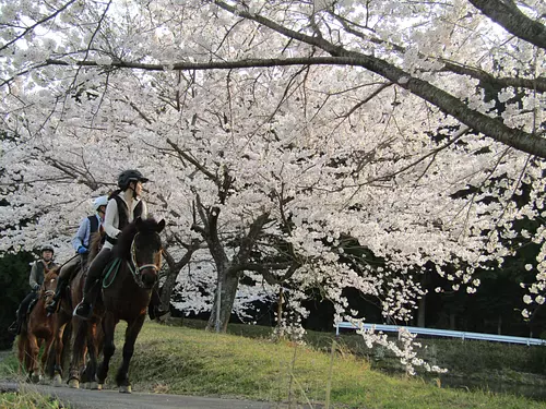 Yunoyama Horse Riding Club