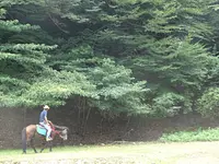 Club de equitación Yunoyama