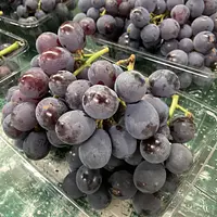 玉城ふれあい農園