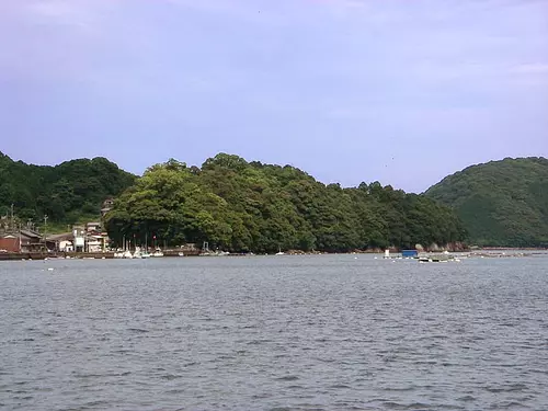 九木神社树丛